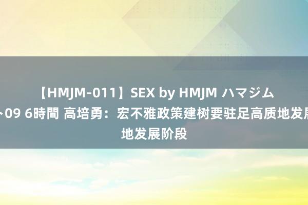 【HMJM-011】SEX by HMJM ハマジムベスト09 6時間 高培勇：宏不雅政策建树要驻足高质地发展阶段