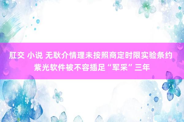 肛交 小说 无耿介情理未按照商定时限实验条约 紫光软件被不容插足“军采”三年