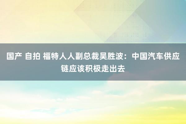 国产 自拍 福特人人副总裁吴胜波：中国汽车供应链应该积极走出去